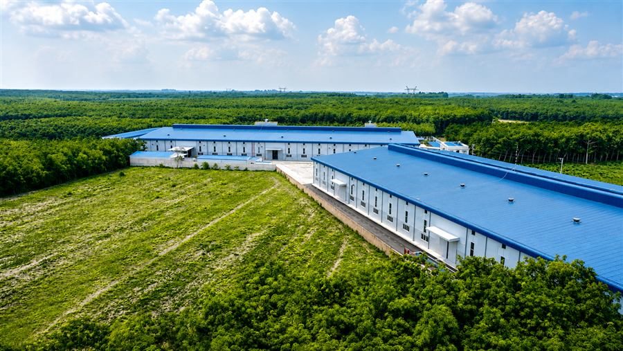 Our Phu Giao plant, standing in the middle of the plantation it runs on